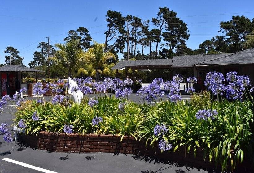 Отель Padre Oaks