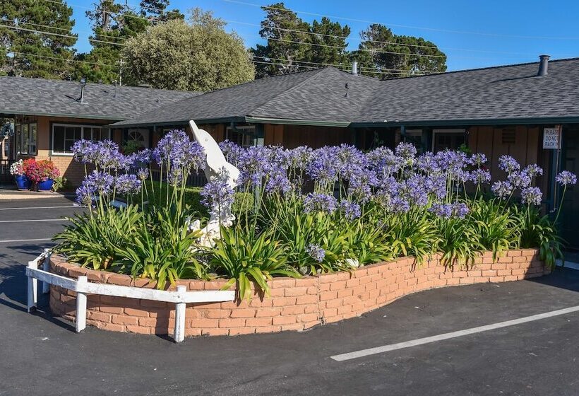 Отель Padre Oaks