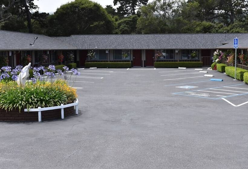 Отель Padre Oaks