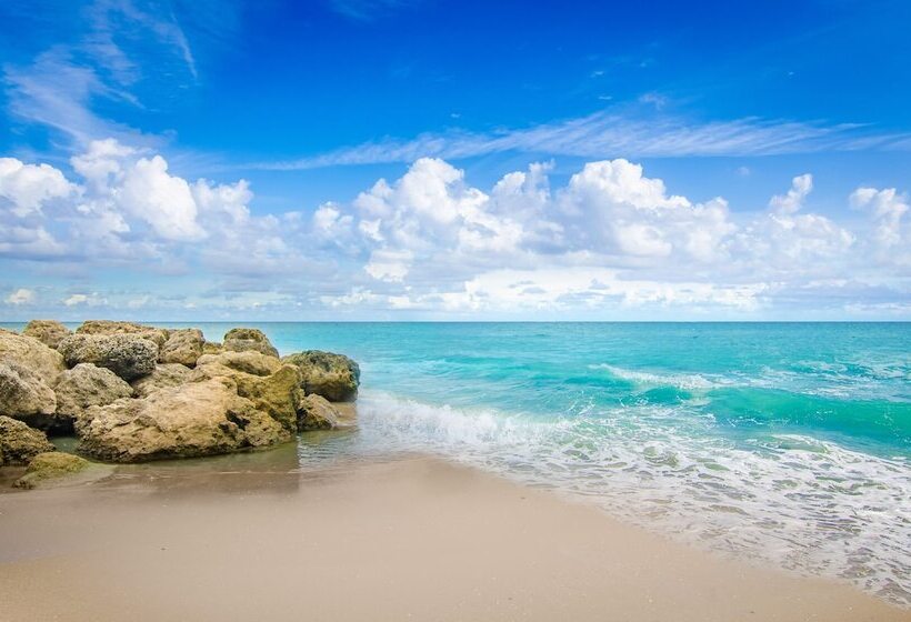 فندق Palm Beach Historic Inn