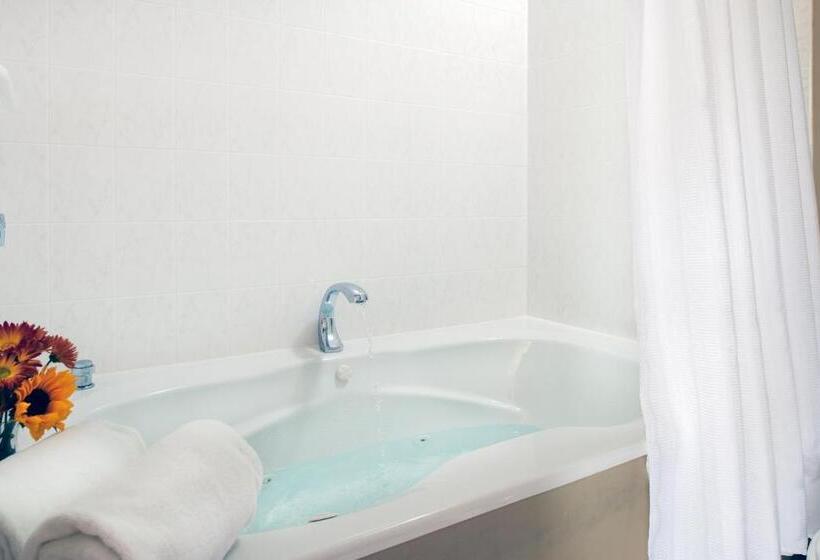 酒店 Palmer House Inn