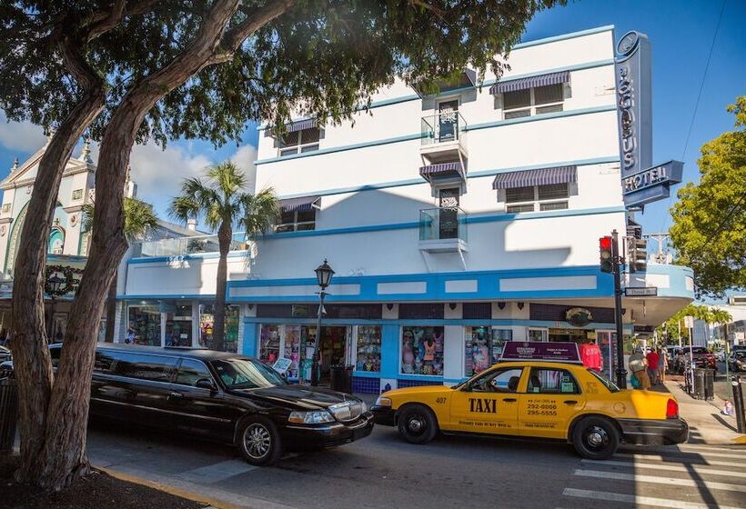 فندق Pegasus International