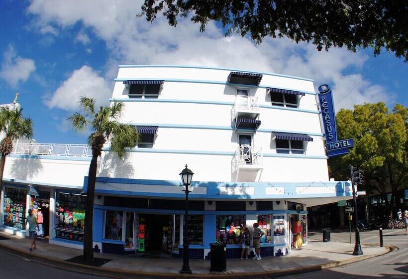 فندق Pegasus International