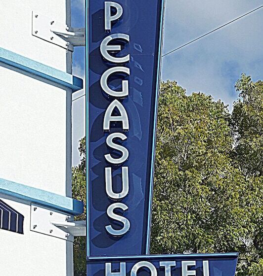 فندق Pegasus International