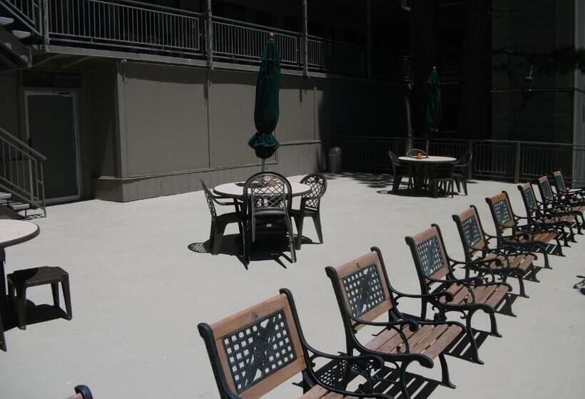 فندق Pepper Tree Inn Tahoe City