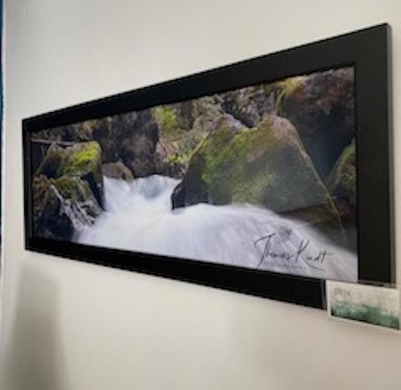 فندق Pikes Peak Paradise Bed And Breakfast