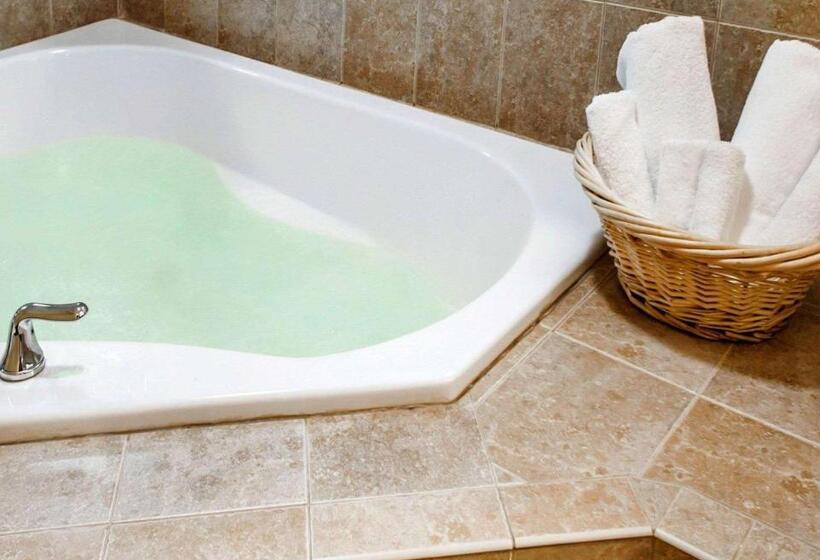 هتل Quality Inn & Suites