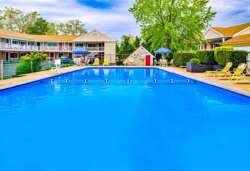 فندق Rodeway Inn Orleans  Cape Cod