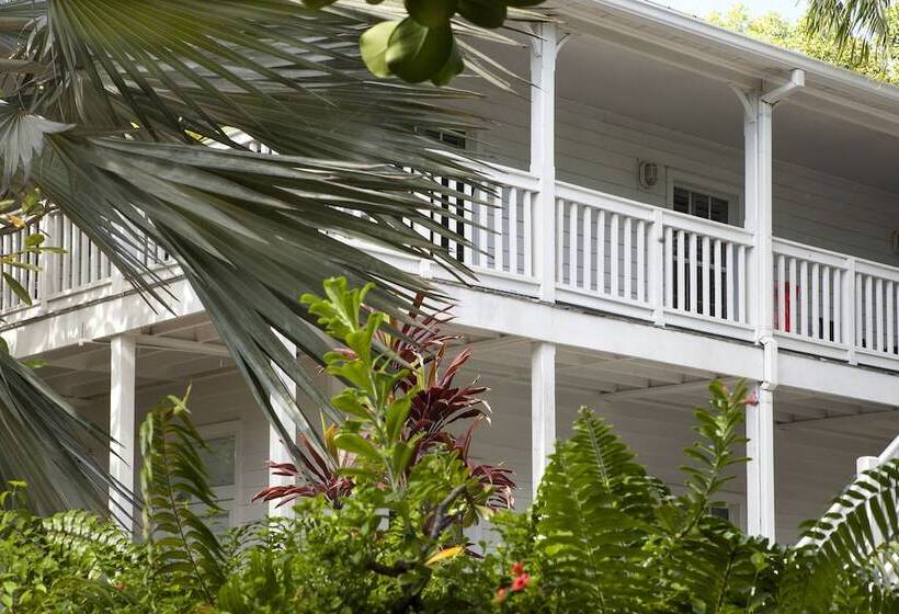 فندق Paradise Inn   Adult Exclusive