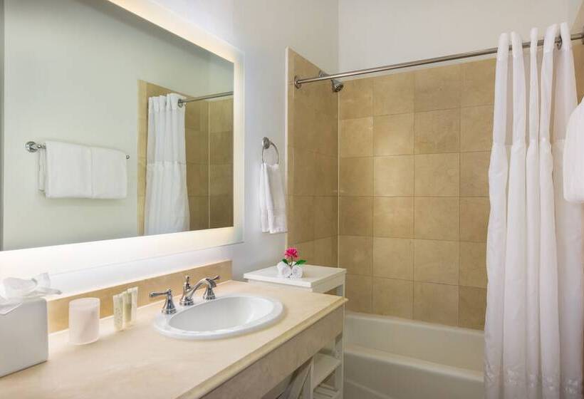 فندق Paradise Inn   Adult Exclusive