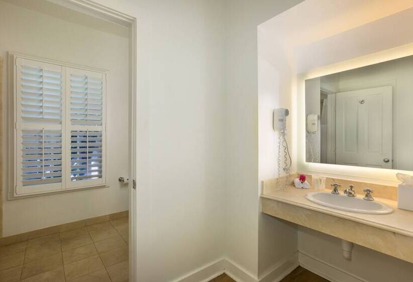 فندق Paradise Inn   Adult Exclusive