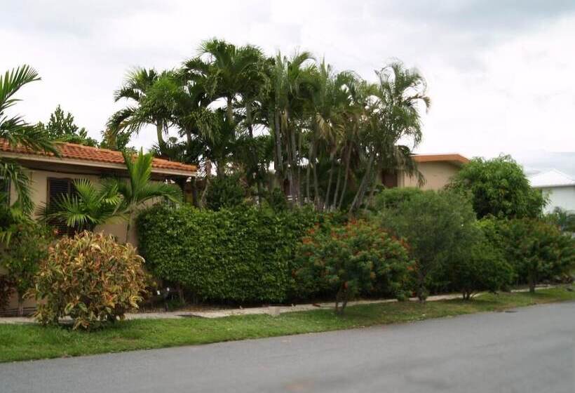 汽车旅馆 Parkview Motor Lodge