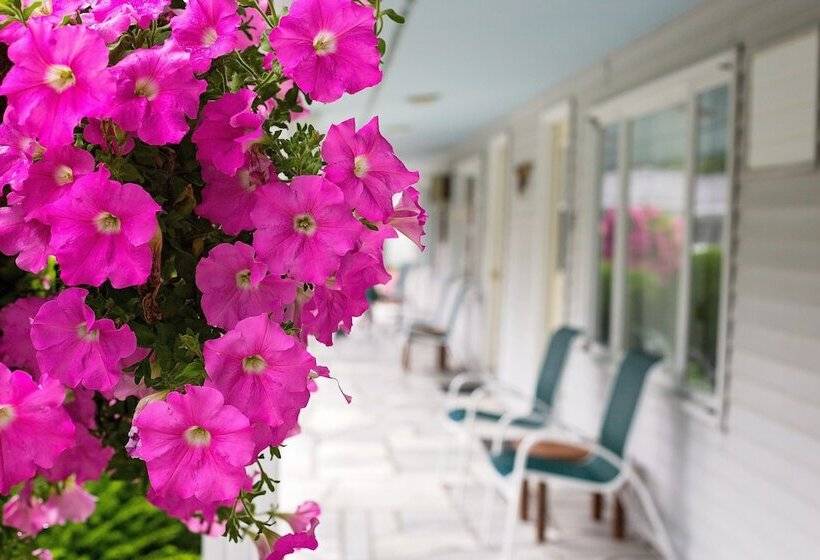 モーテル The Palmer House Resort, Ascend Hotel Collection