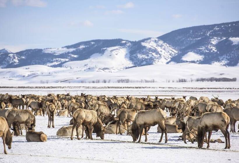 فندق Mountain Modern Jackson Hole