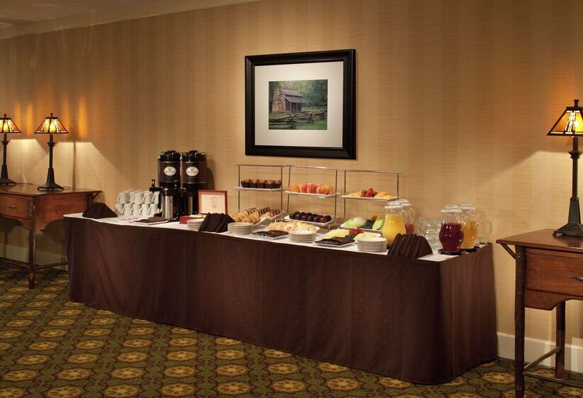 リゾートホテル The Park Vista A Doubletree By Hilton Hotel Gatlinburg