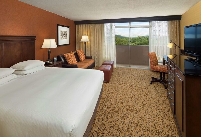 リゾートホテル The Park Vista A Doubletree By Hilton Hotel Gatlinburg