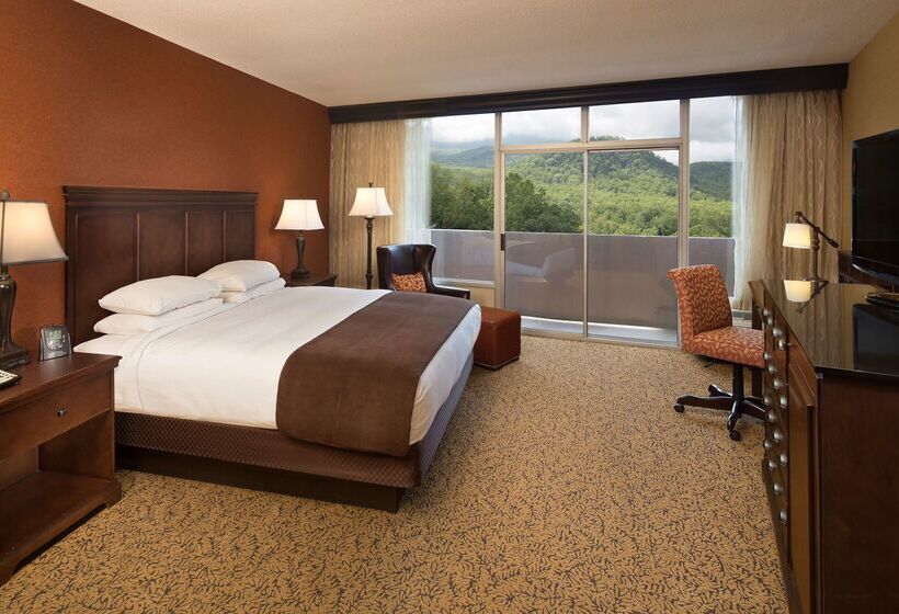 リゾートホテル The Park Vista A Doubletree By Hilton Hotel Gatlinburg