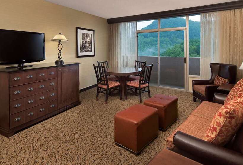 リゾートホテル The Park Vista A Doubletree By Hilton Hotel Gatlinburg