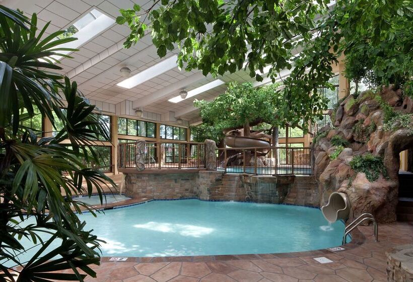 リゾートホテル The Park Vista A Doubletree By Hilton Hotel Gatlinburg