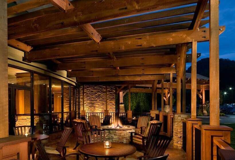 リゾートホテル The Park Vista A Doubletree By Hilton Hotel Gatlinburg