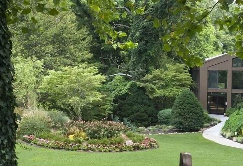 リゾートホテル The Park Vista A Doubletree By Hilton Hotel Gatlinburg