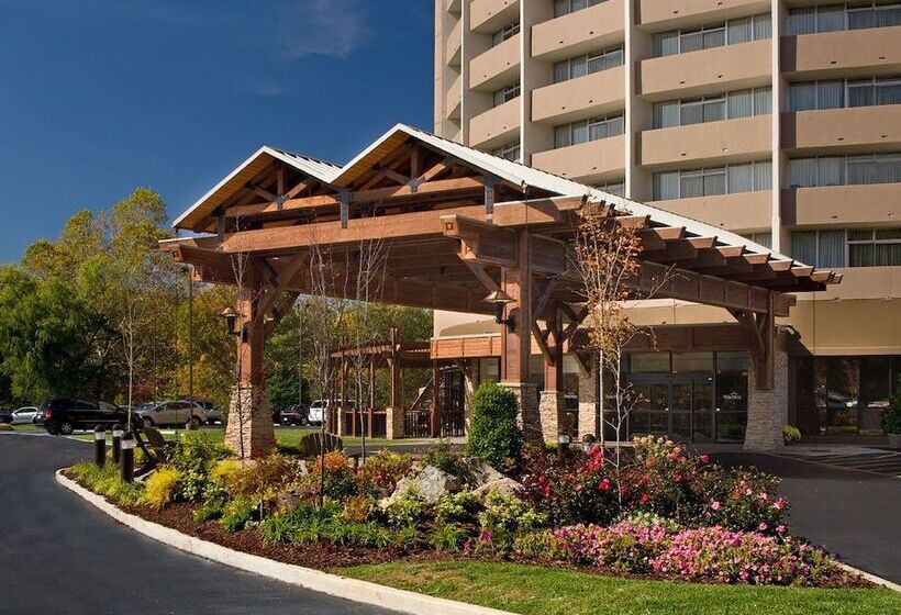 リゾートホテル The Park Vista A Doubletree By Hilton Hotel Gatlinburg
