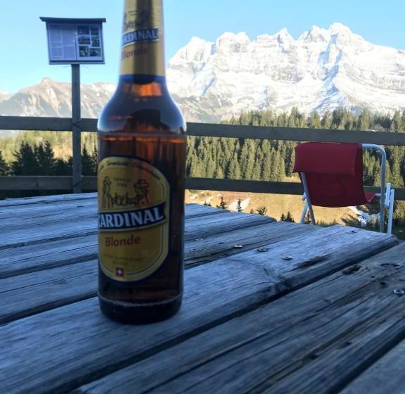 호스텔 Chez Gaby 1670