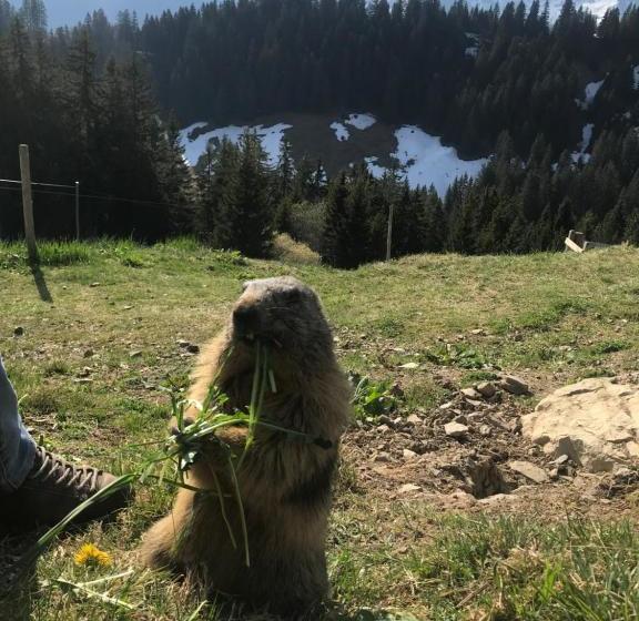 호스텔 Chez Gaby 1670