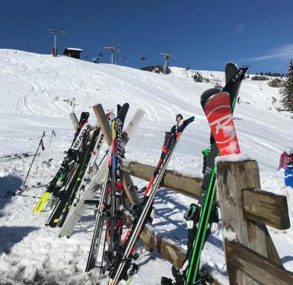 호스텔 Chez Gaby 1670