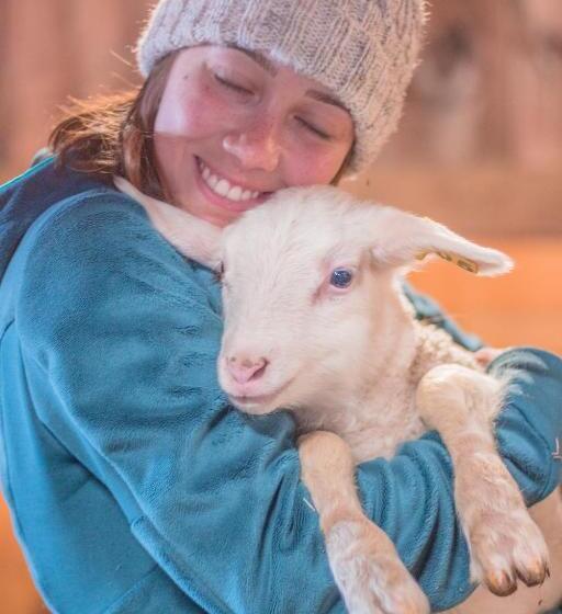 בית מלון כפרי Fat Sheep Farm & Cabins