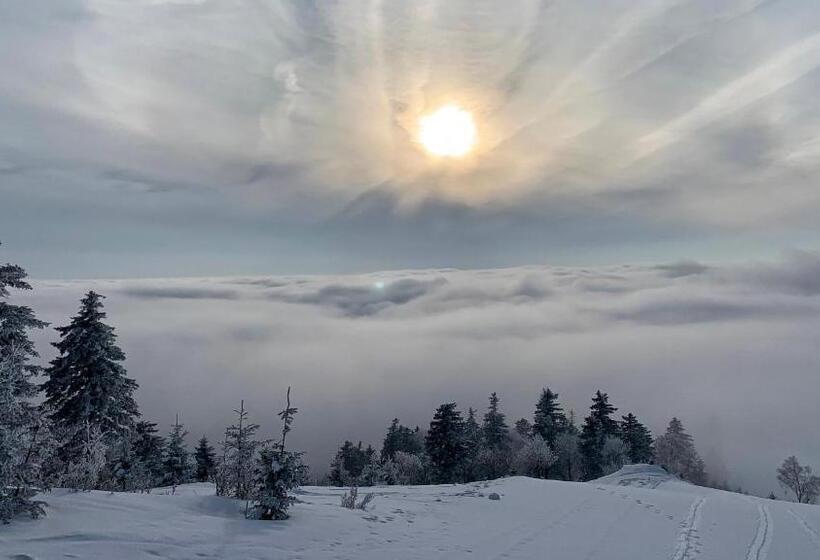 호텔 Holiday Inn Jilin Beidahu, An Ihg