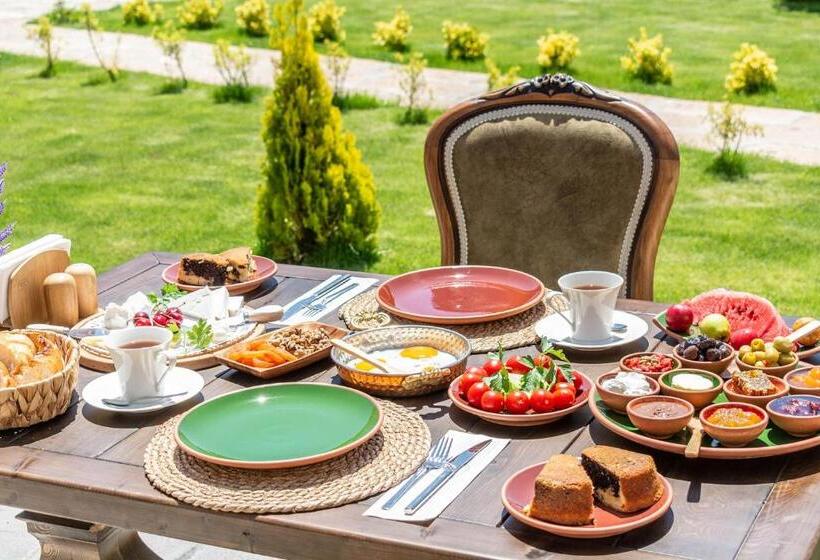 בית מלון כפרי Zeydem Suites