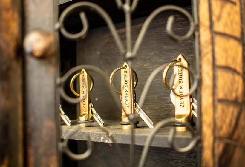 בית מלון כפרי Zeydem Suites