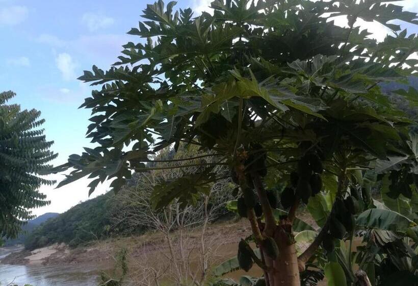 Mekong Backpackers Pakbeng