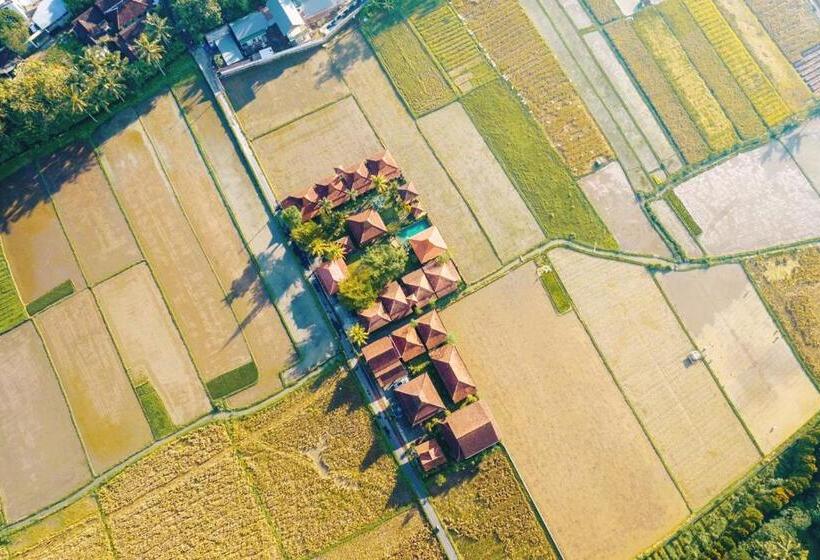 پانسیون Bhumi Kasuryan Borobudur