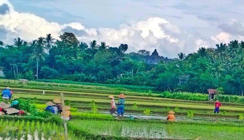 پانسیون Bhumi Kasuryan Borobudur