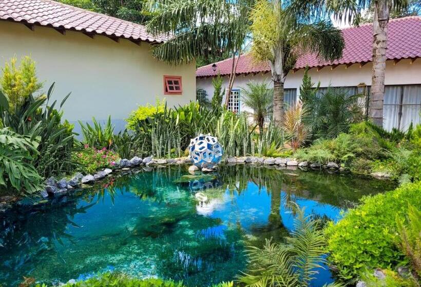 ペンション Pousada Ouro Preto De Bonito