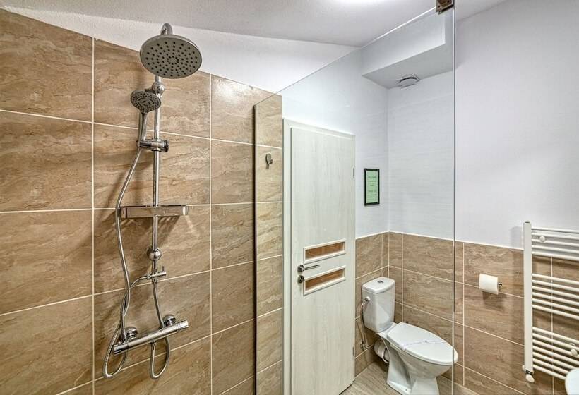 פנסיון T House