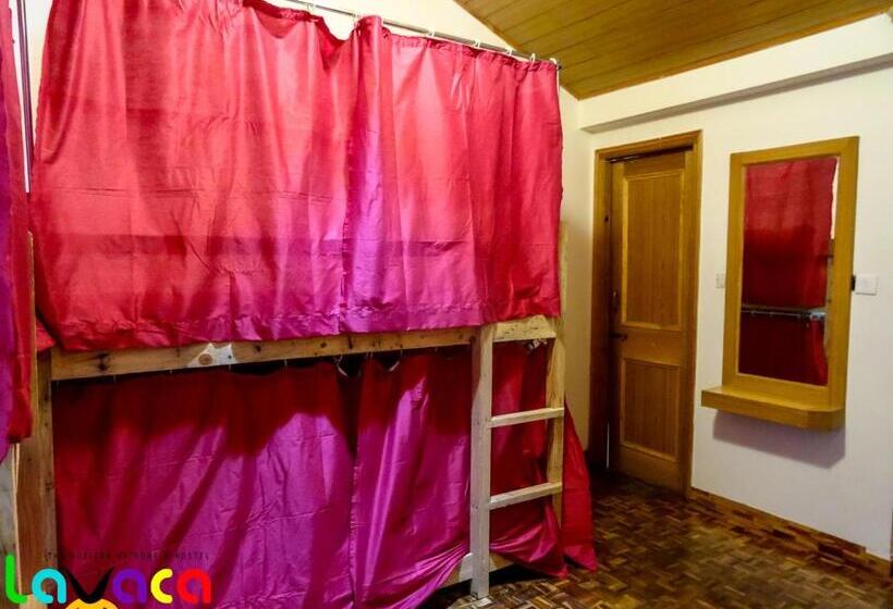 旅馆 La Vaca India Manali