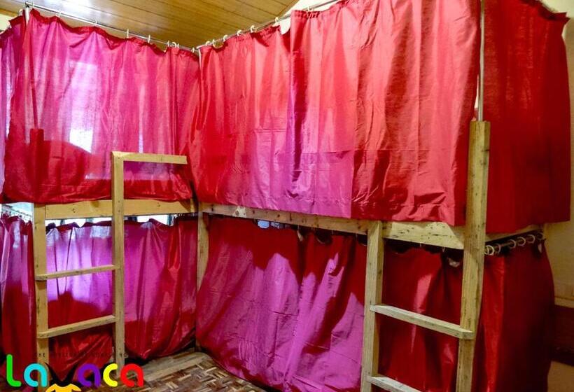 旅馆 La Vaca India Manali