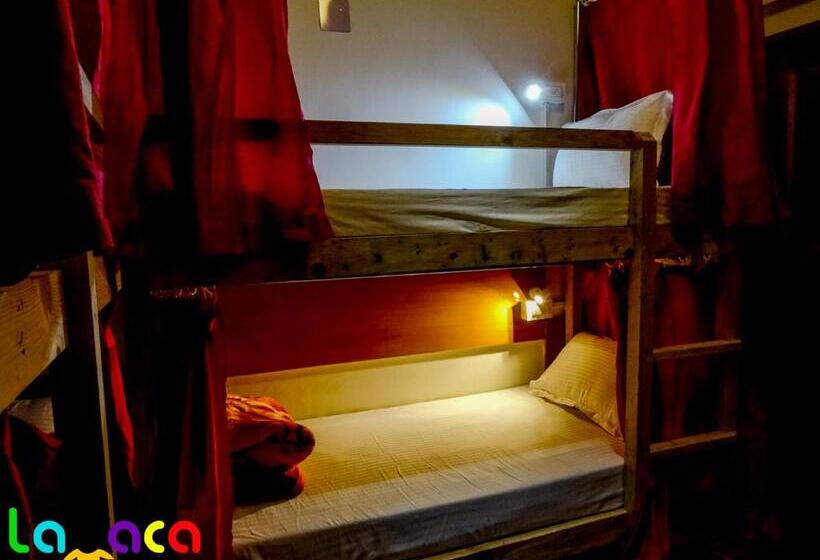 旅馆 La Vaca India Manali