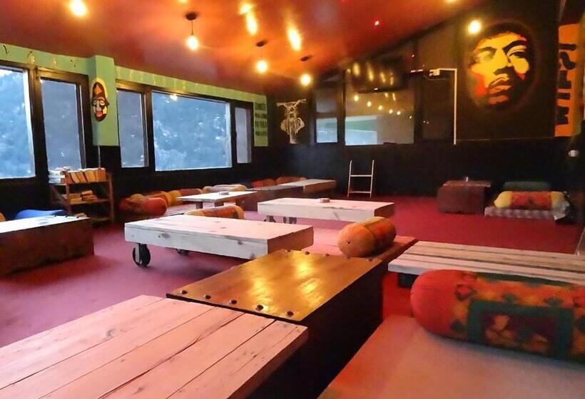 旅馆 La Vaca India Manali