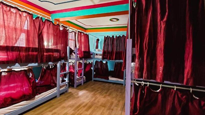 旅馆 La Vaca India Manali