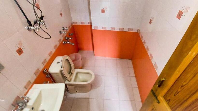 旅馆 La Vaca India Manali