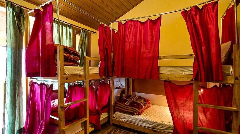 旅馆 La Vaca India Manali