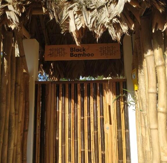 Black Bamboo B&b
