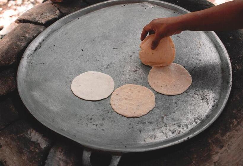 هتل Boutique Chacá