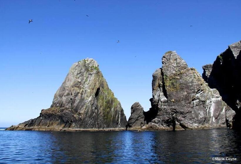 בית מלון כפרי Dolphin