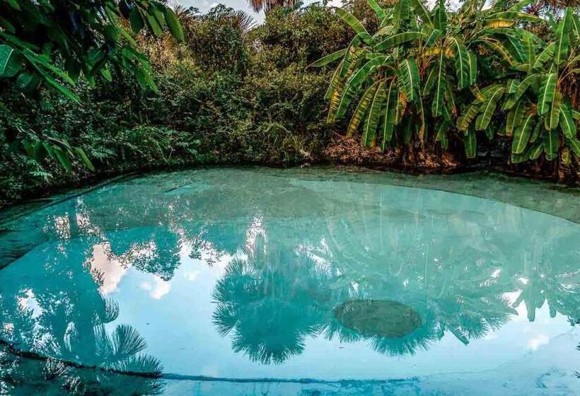 Отель Hplus Premium Palmas