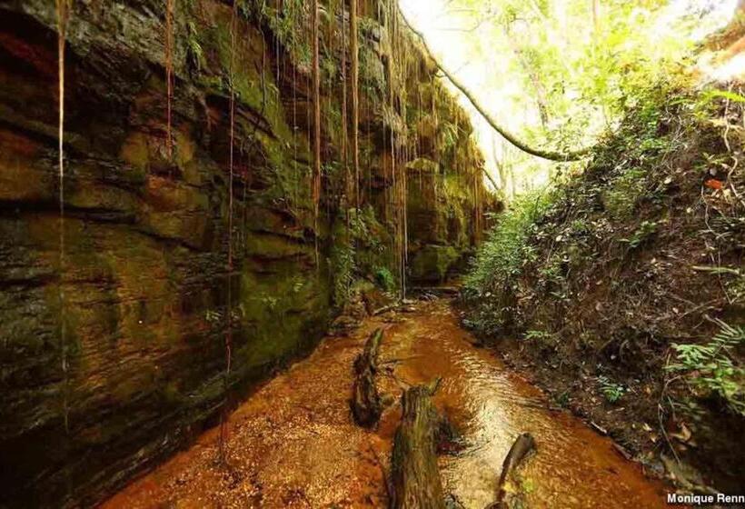 Отель Hplus Premium Palmas